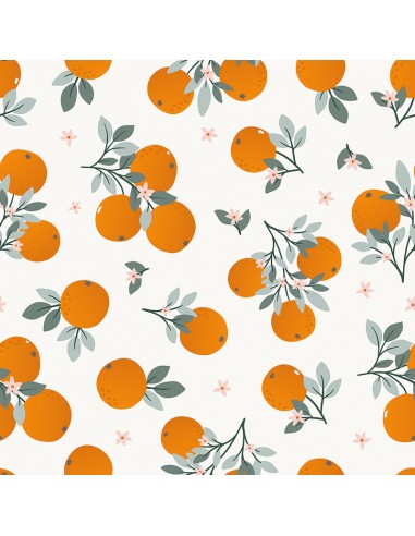 Papier peint nature - Tangerine des créatures d'habitude