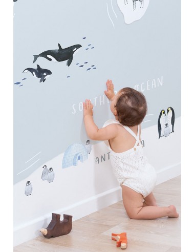 Papier peint panoramique animaux - Animals World Map sur le site 