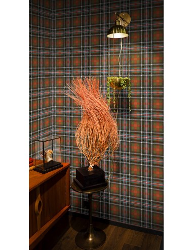 Papier peint tartan - Queen of Punk - Objet de Curiosité Toutes les collections ici