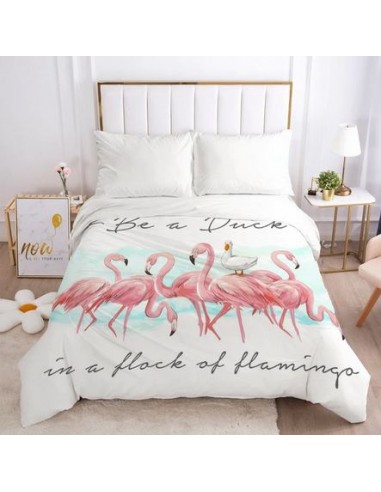 Housse de Couette Flamant Rose Intrus pas cher 