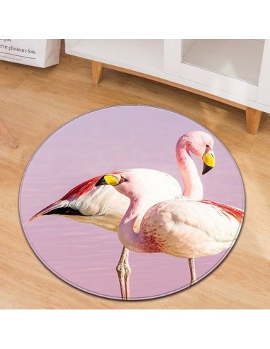 Tapis Rond Flamant Rose Camargue Les êtres humains sont 