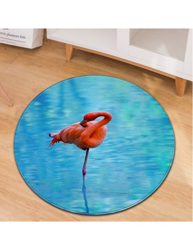 Tapis Rond Flamant Rose Réaliste Economisez 