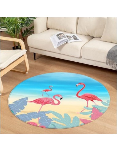 Tapis Rond Flamant Rose Déco pour bénéficier 