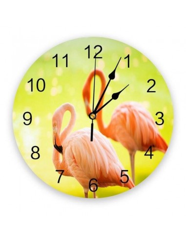 Horloge Flamant Rose Camargue sur le site 