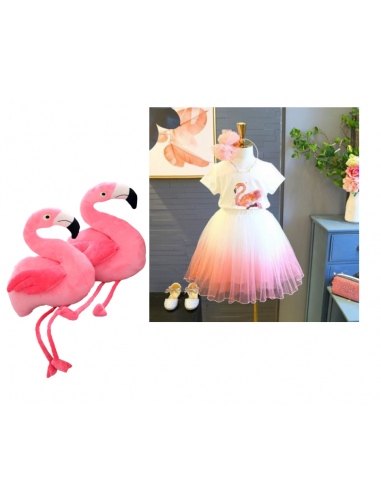 Pack Fille Flamant Rose Par le système avancé 